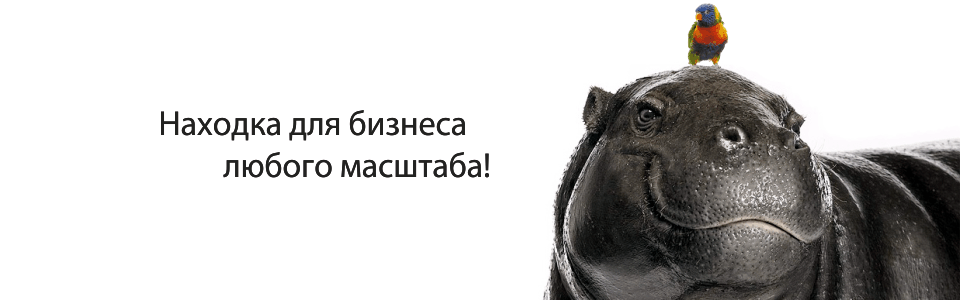 СПРИНТ находка для бизнеса любого масштаба